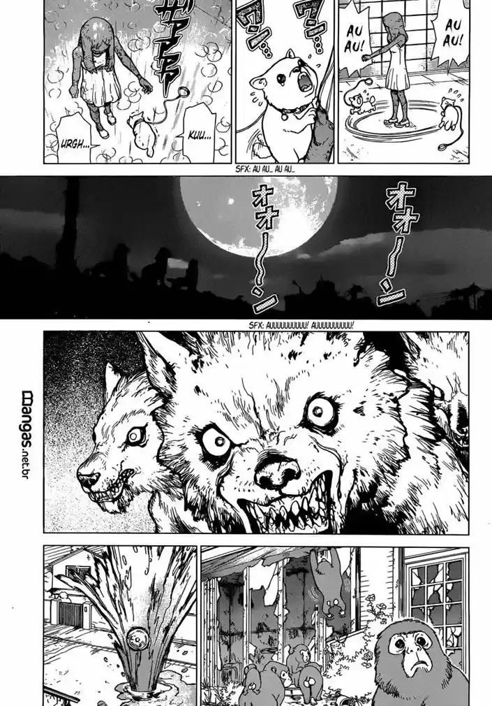 Read Dr. Stone (pt) Manga Online