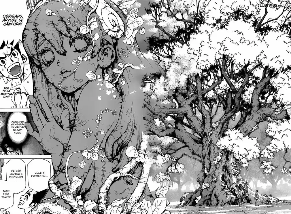 Read Dr. Stone (pt) Manga Online