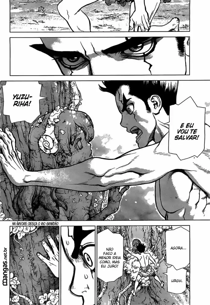 Read Dr. Stone (pt) Manga Online