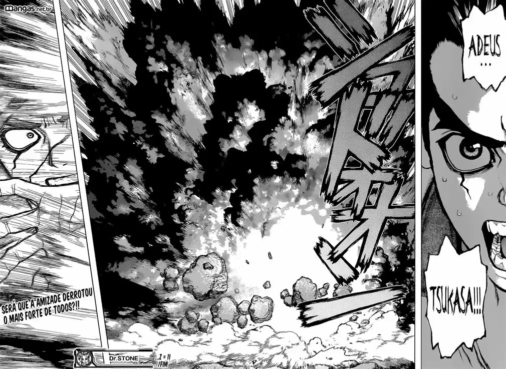 Read Dr. Stone (pt) Manga Online