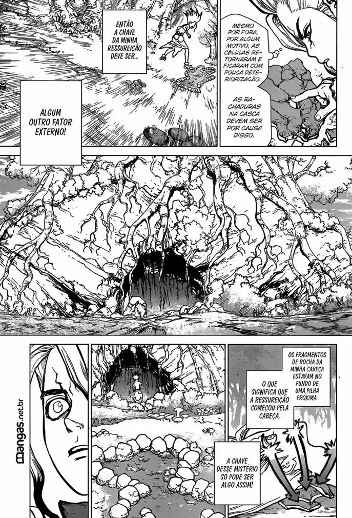 Read Dr. Stone (pt) Manga Online