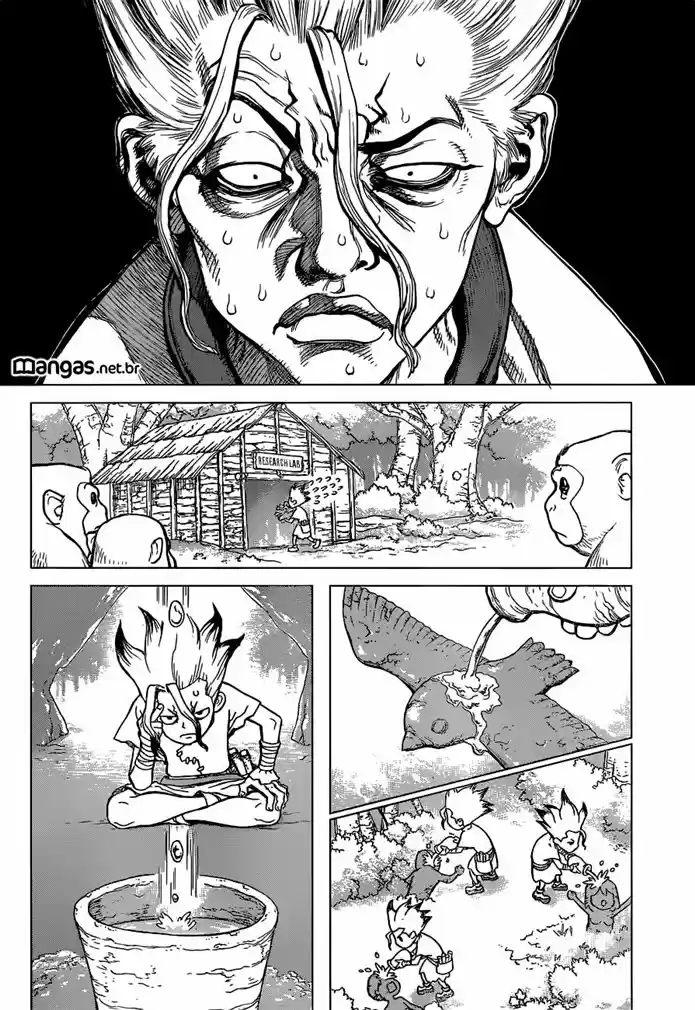 Read Dr. Stone (pt) Manga Online