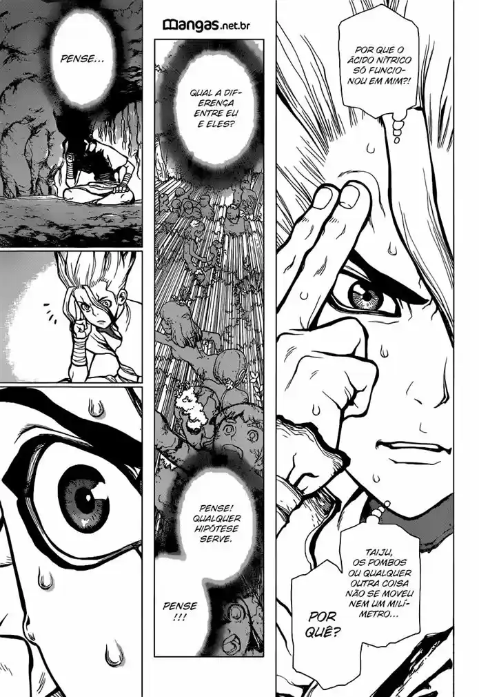 Read Dr. Stone (pt) Manga Online