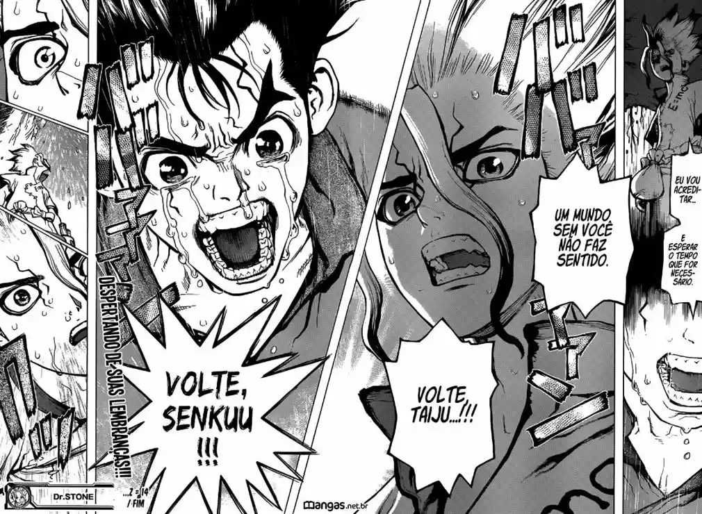 Read Dr. Stone (pt) Manga Online
