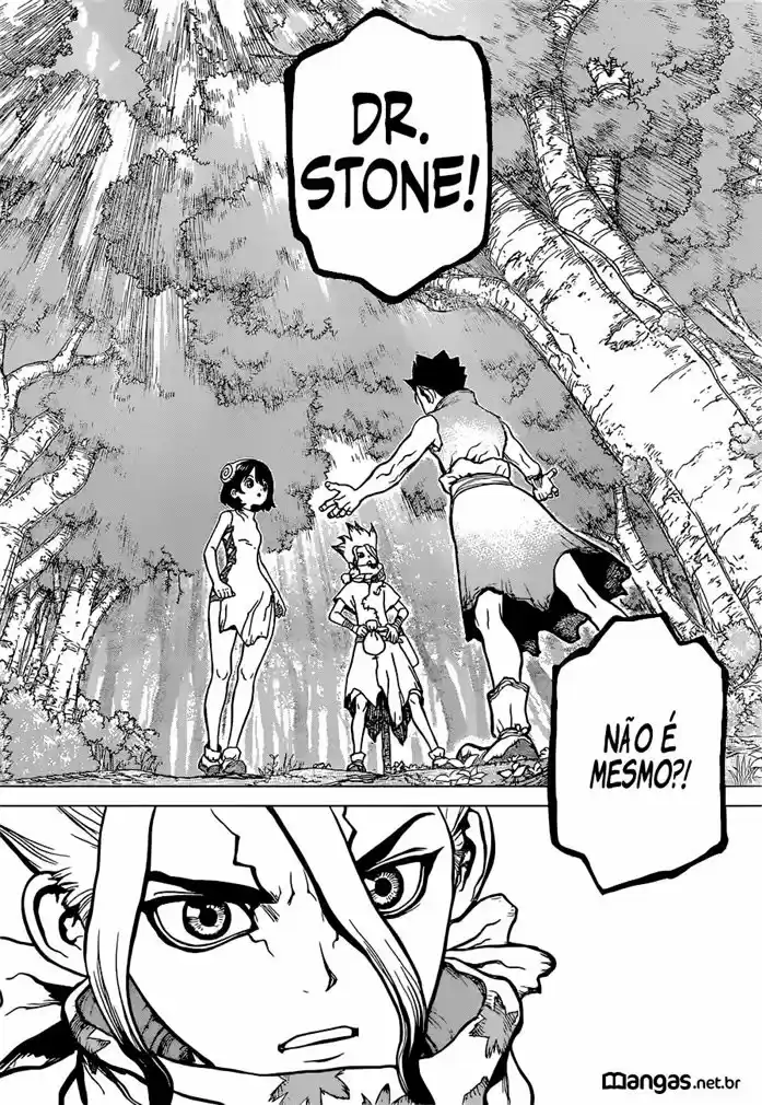 Read Dr. Stone (pt) Manga Online