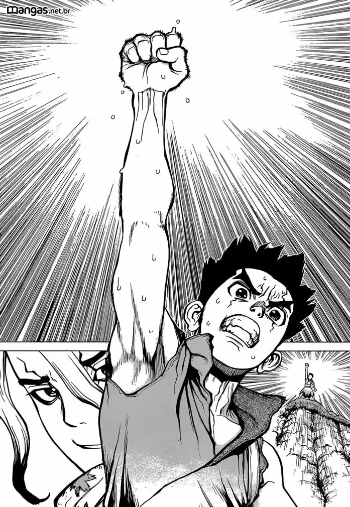 Read Dr. Stone (pt) Manga Online