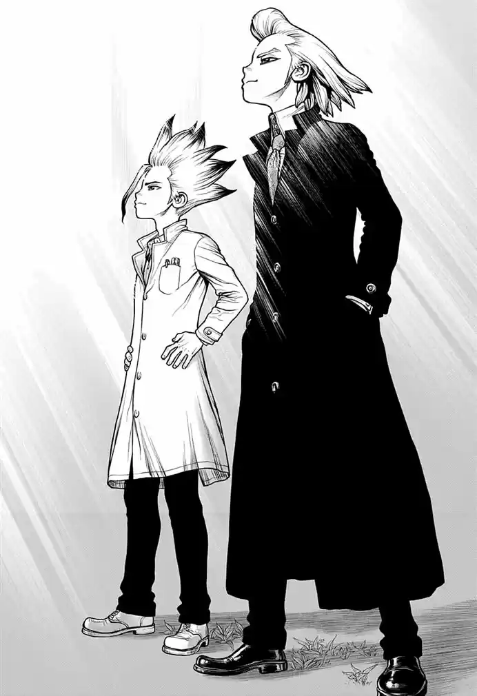 Read Dr. Stone (pt) Manga Online