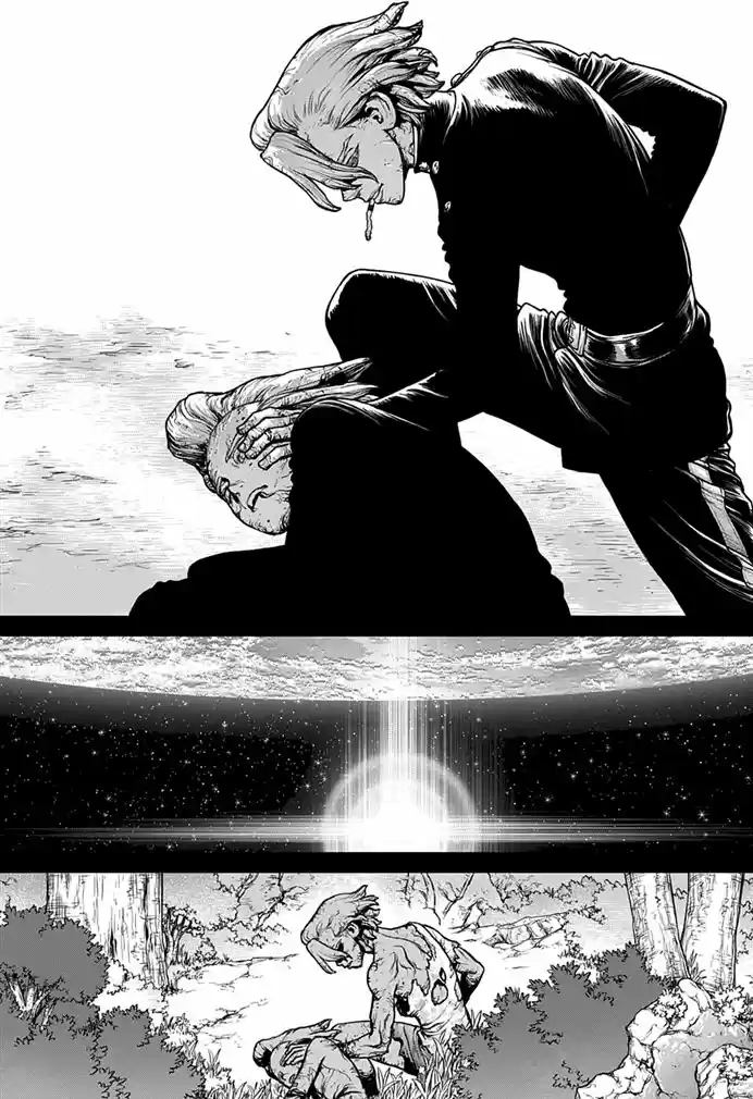 Read Dr. Stone (pt) Manga Online