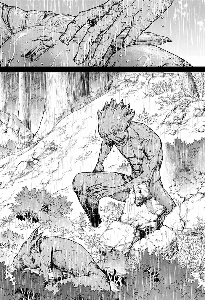 Read Dr. Stone (pt) Manga Online