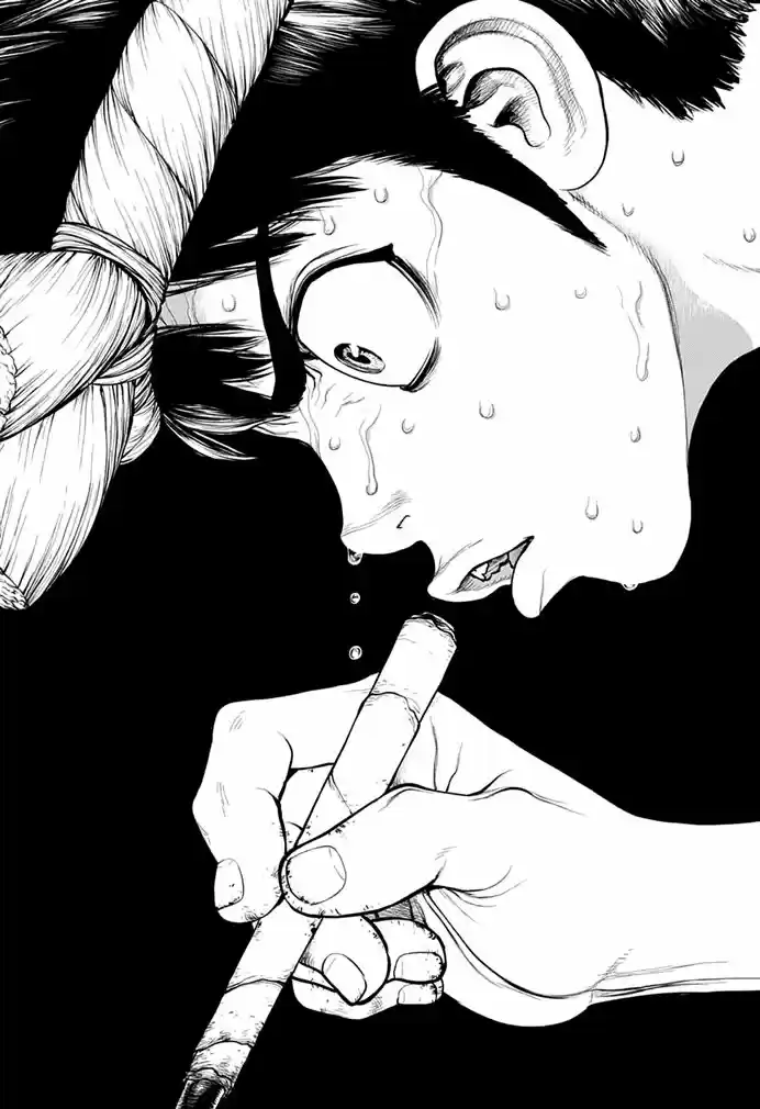 Read Dr. Stone (pt) Manga Online