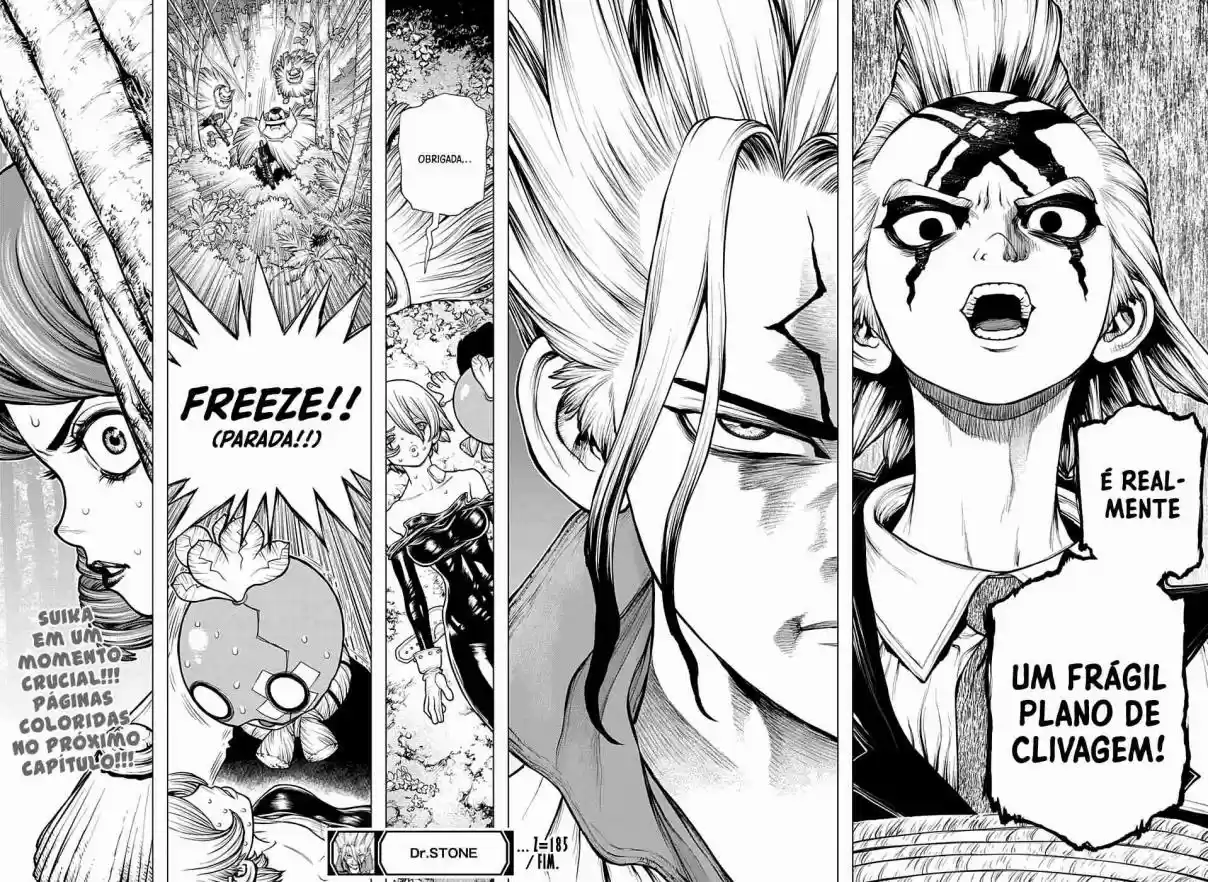 Read Dr. Stone (pt) Manga Online