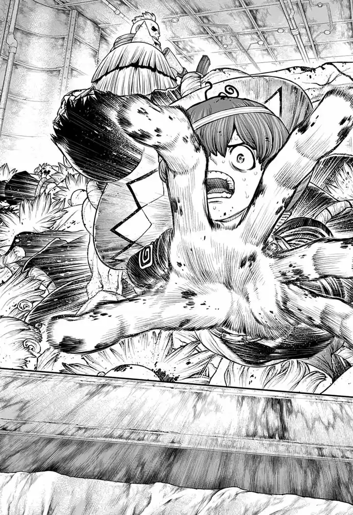 Read Dr. Stone (pt) Manga Online