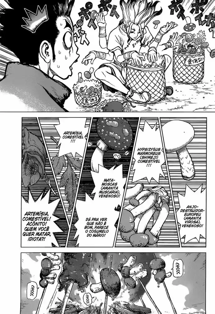 Read Dr. Stone (pt) Manga Online