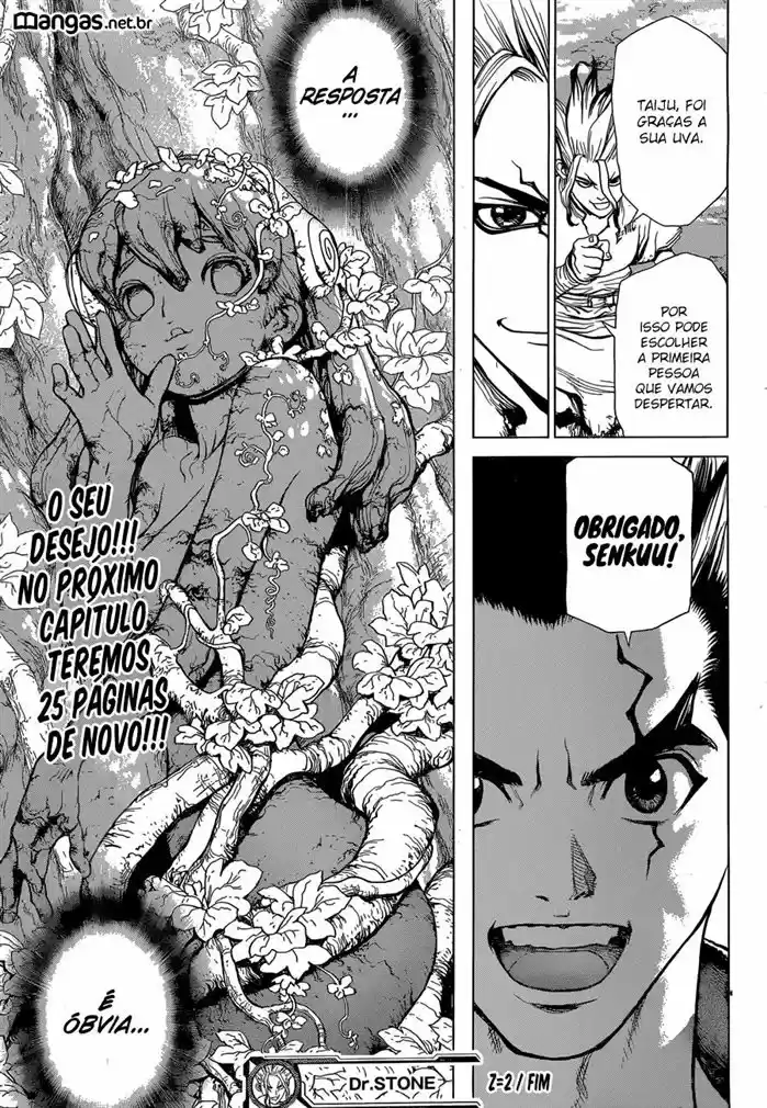 Read Dr. Stone (pt) Manga Online