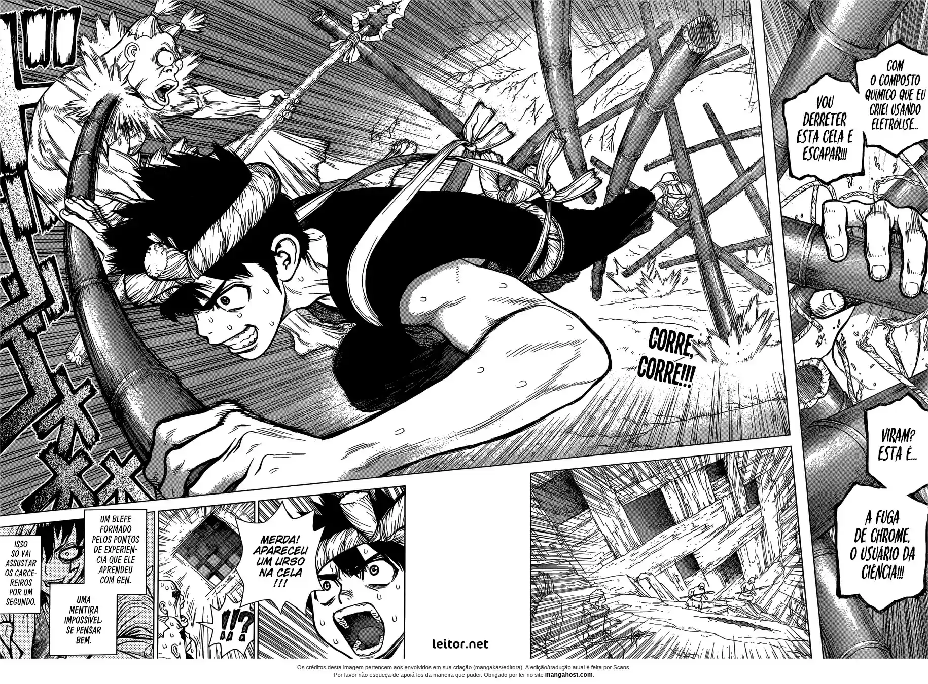 Read Dr. Stone (pt) Manga Online