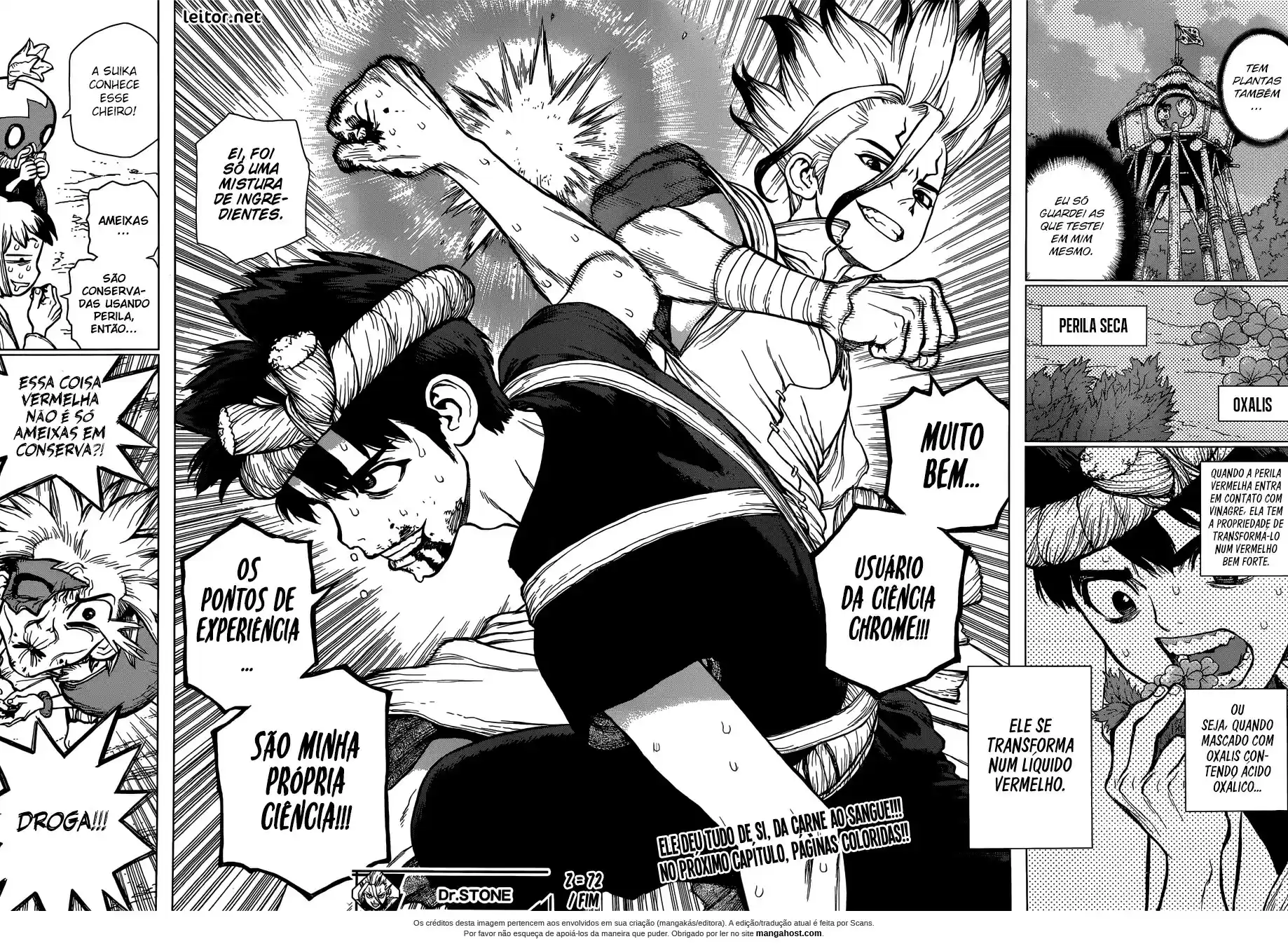 Read Dr. Stone (pt) Manga Online