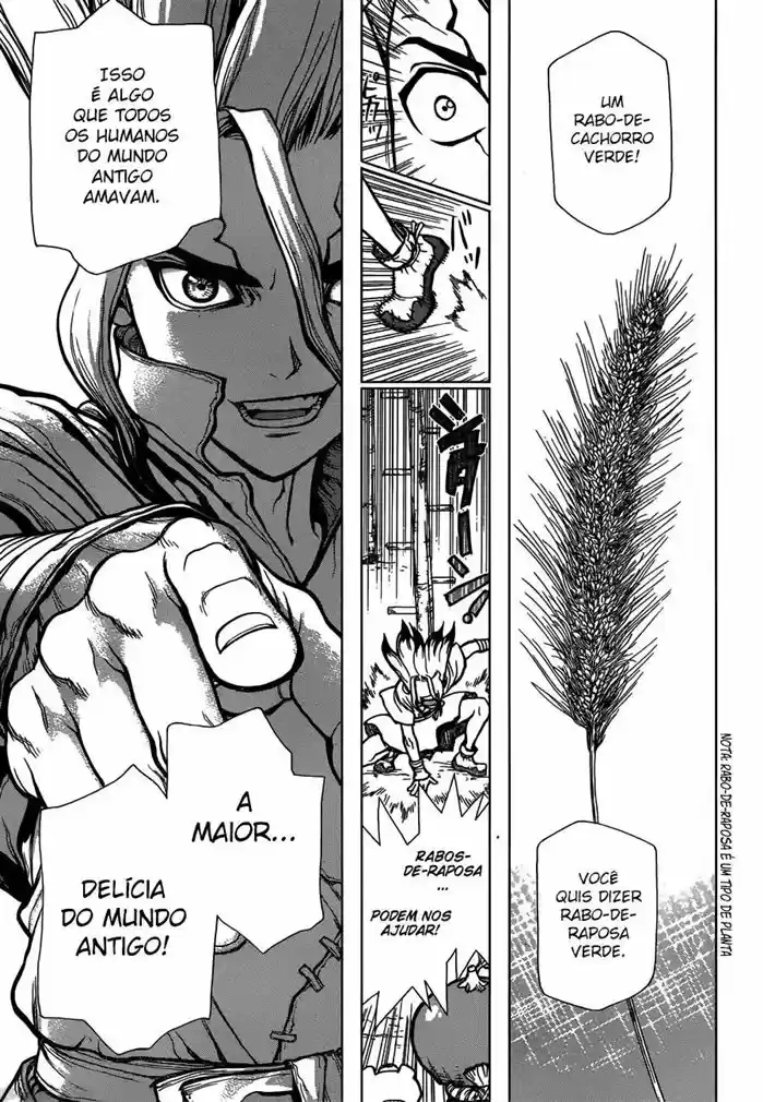 Read Dr. Stone (pt) Manga Online