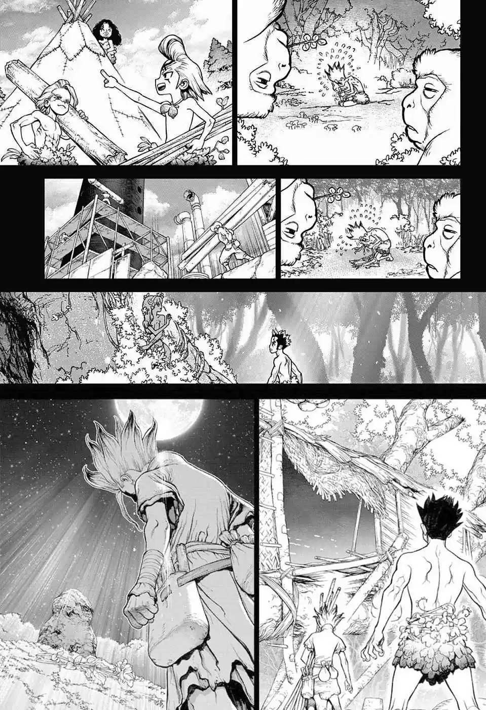 Read Dr. Stone (pt) Manga Online