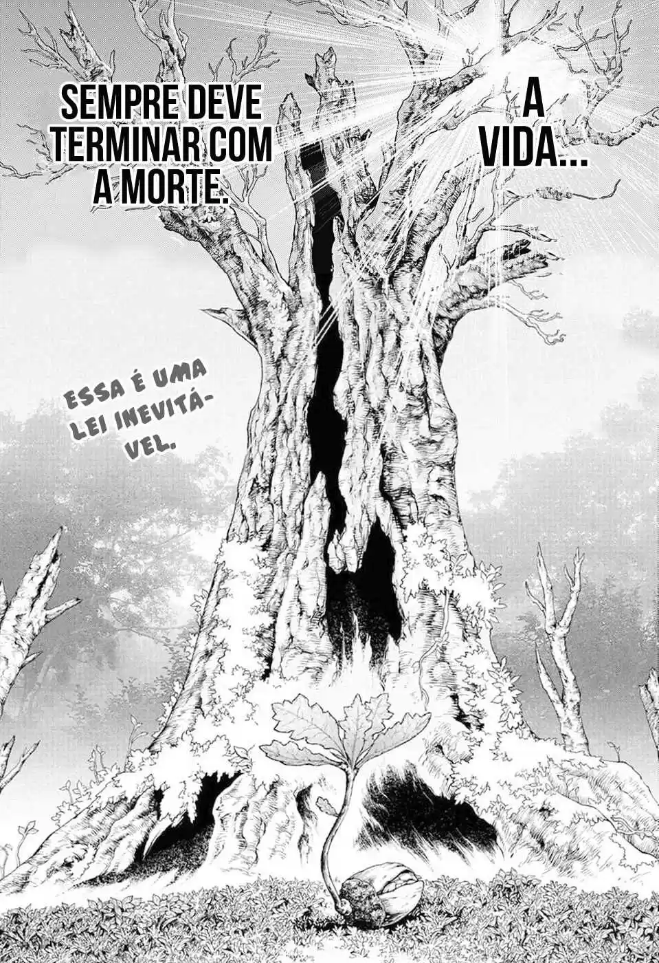 Read Dr. Stone (pt) Manga Online