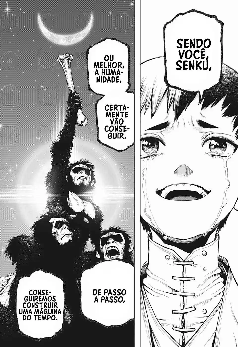 Read Dr. Stone (pt) Manga Online