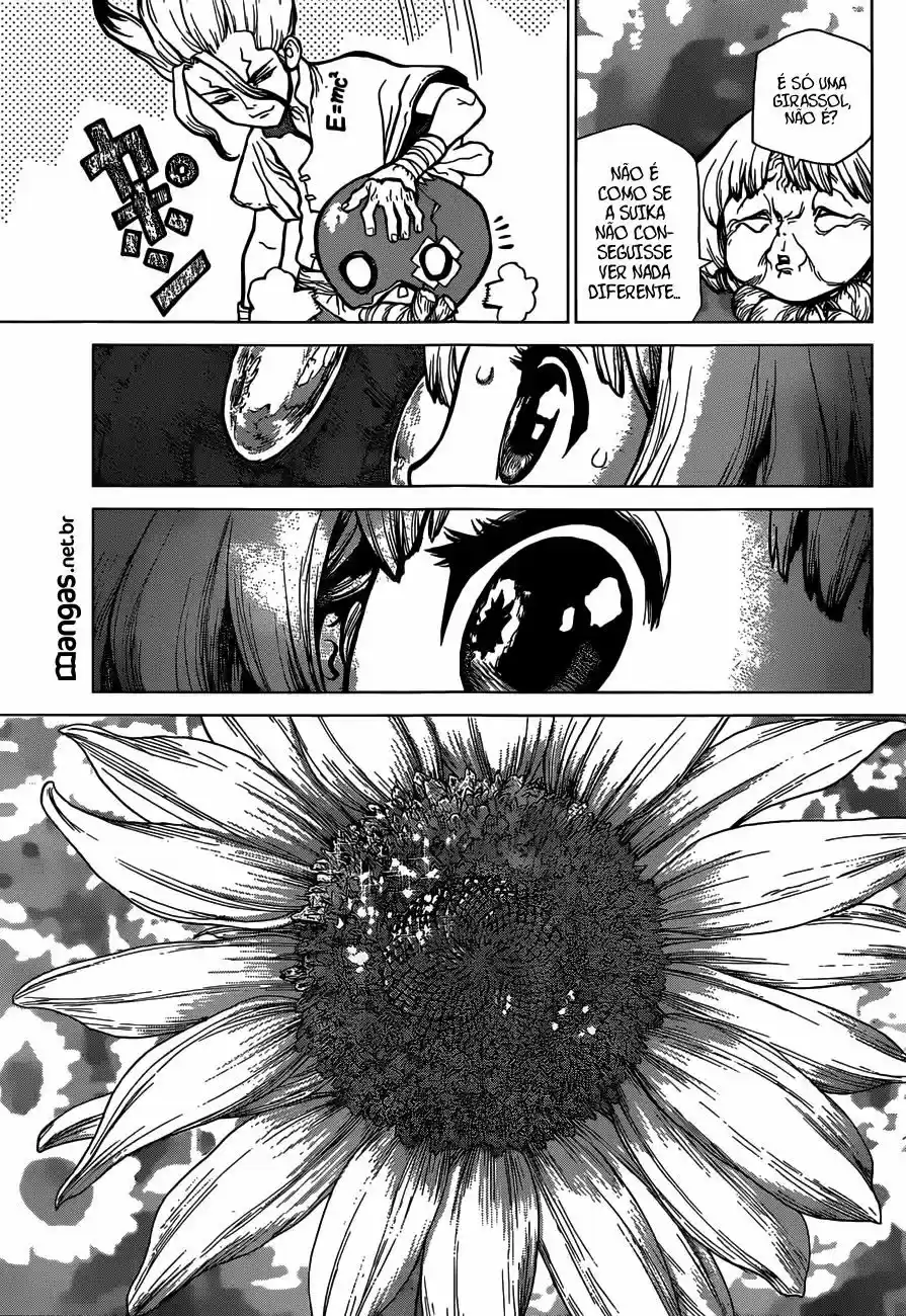 Read Dr. Stone (pt) Manga Online