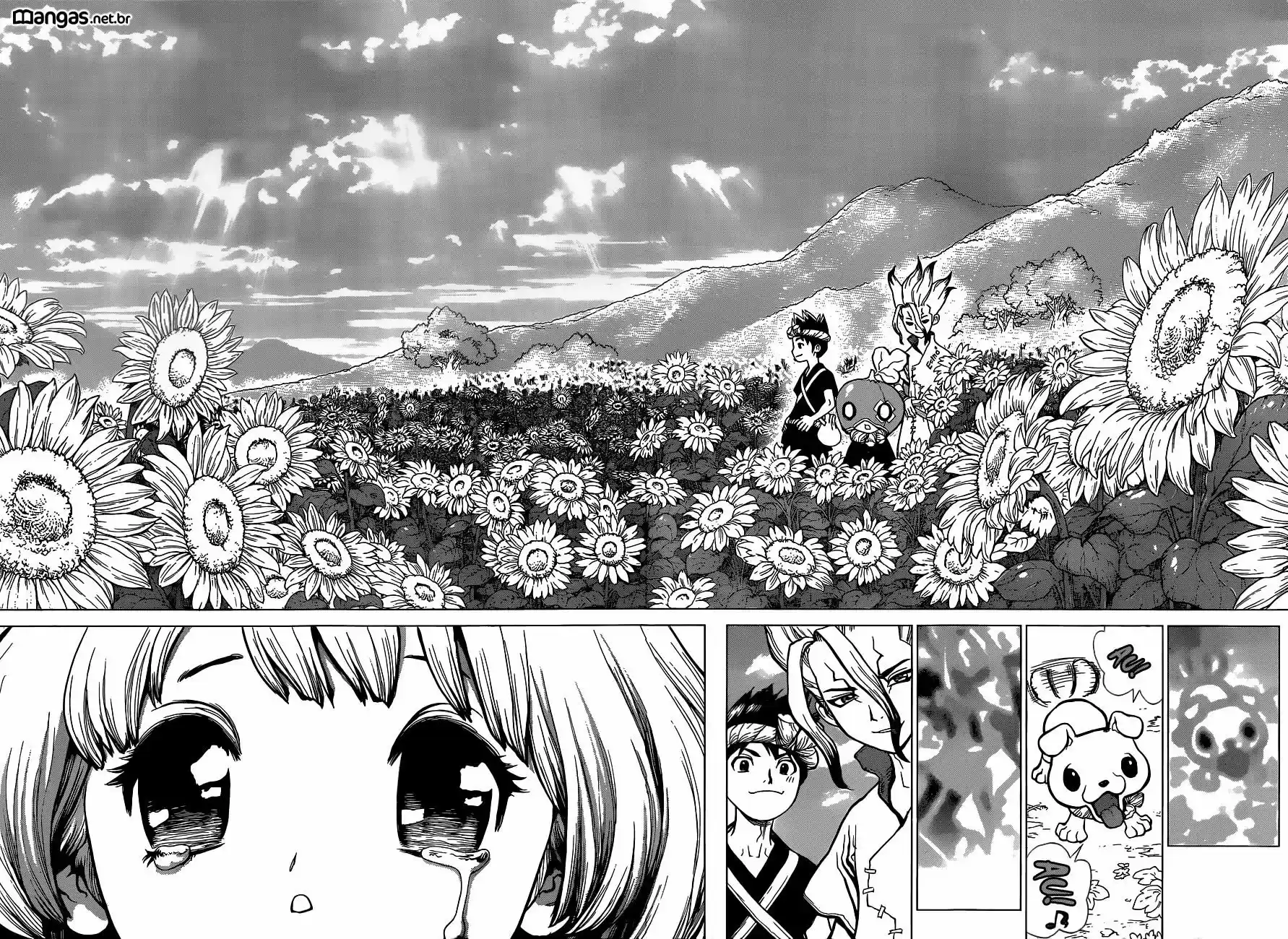 Read Dr. Stone (pt) Manga Online