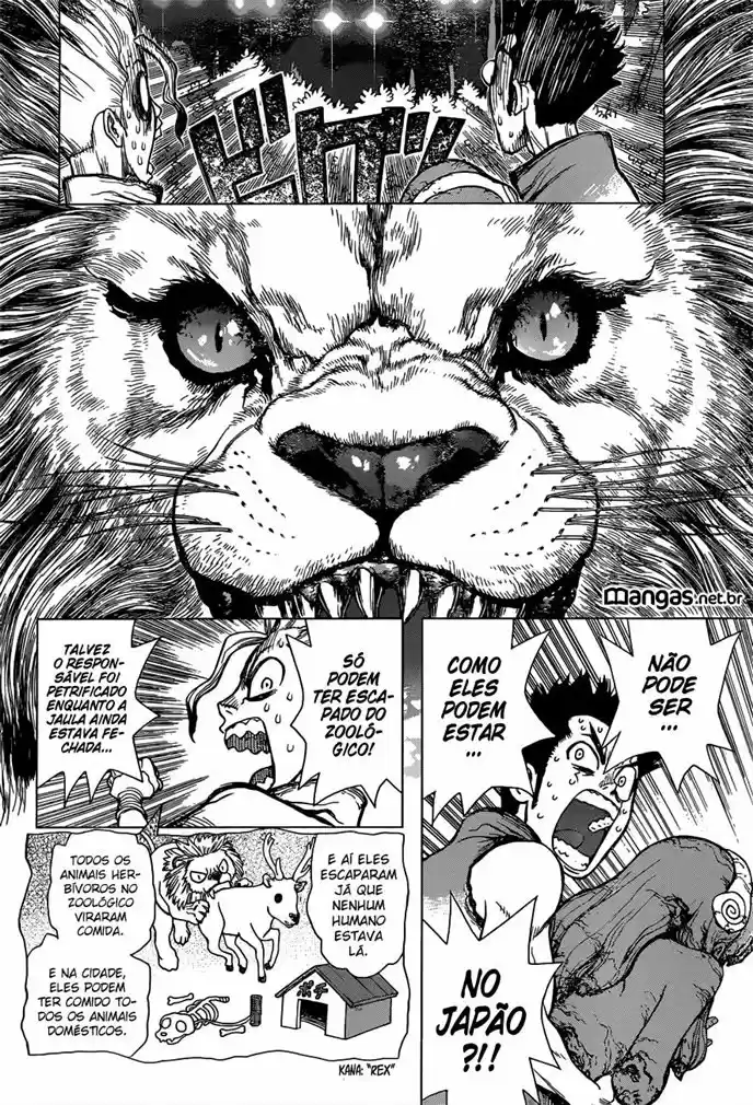 Read Dr. Stone (pt) Manga Online