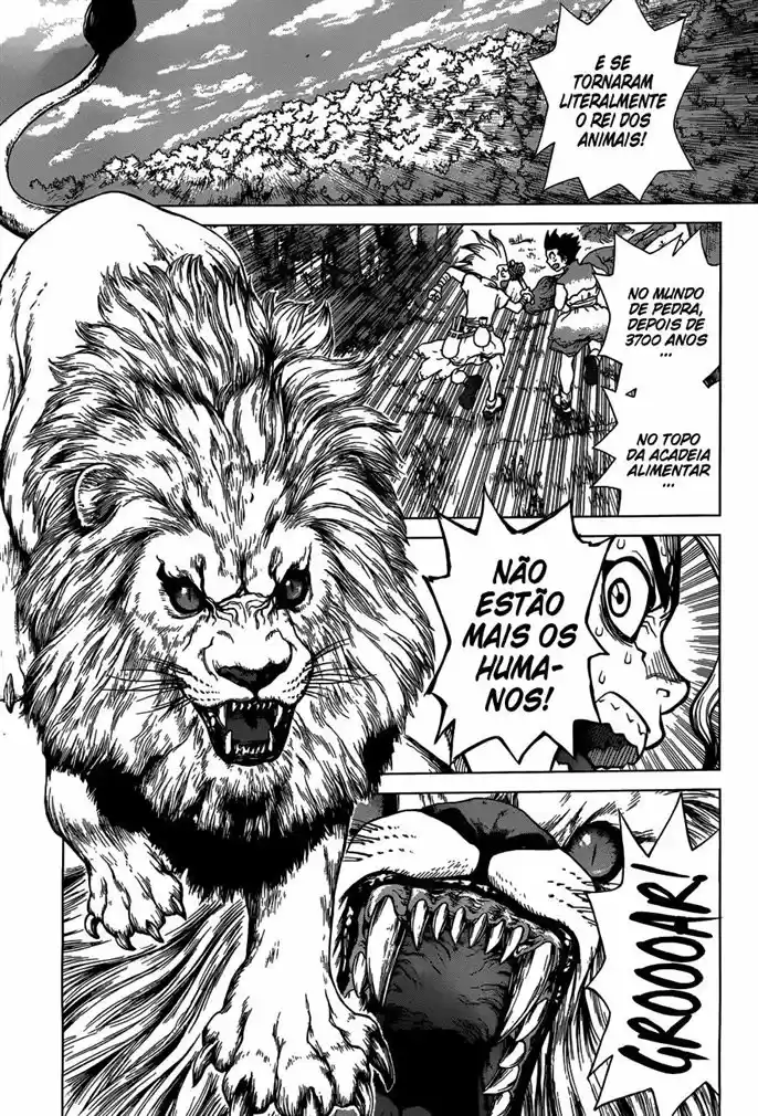 Read Dr. Stone (pt) Manga Online