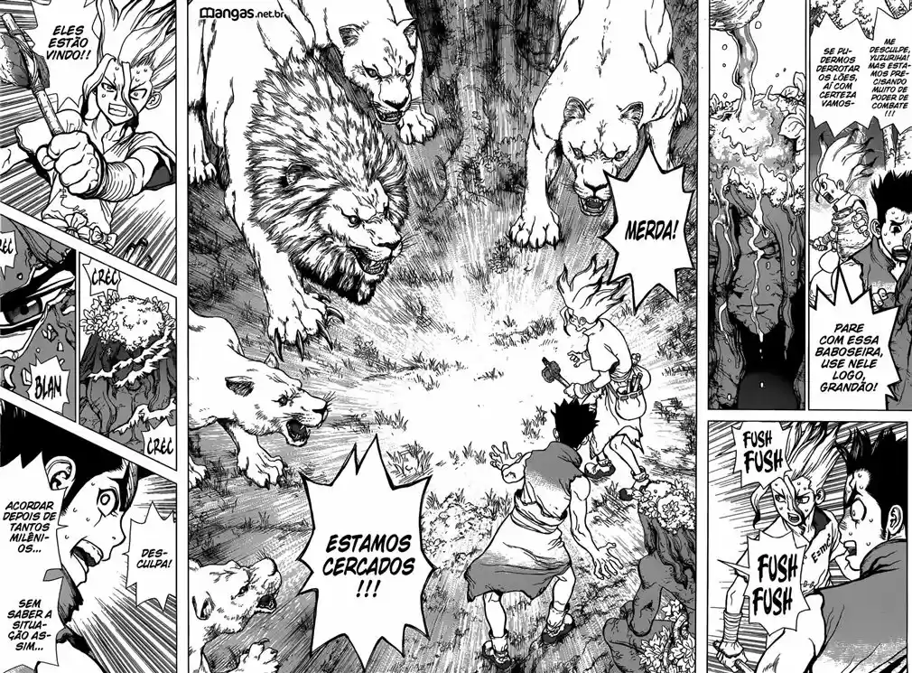 Read Dr. Stone (pt) Manga Online