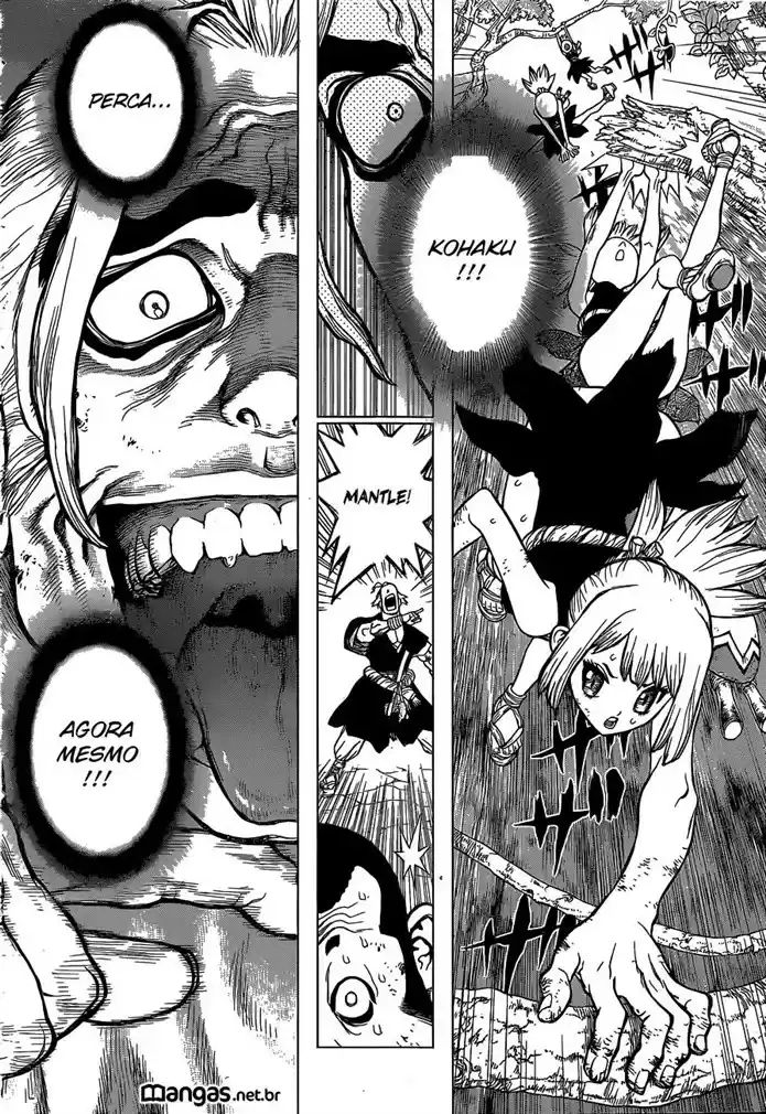 Read Dr. Stone (pt) Manga Online