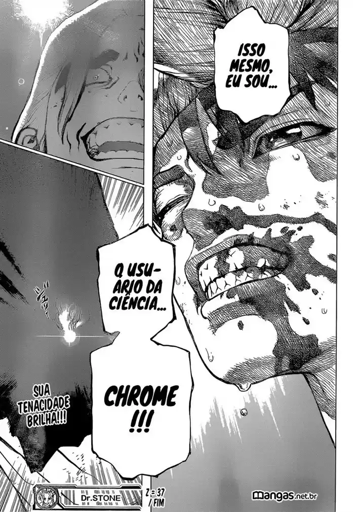 Read Dr. Stone (pt) Manga Online