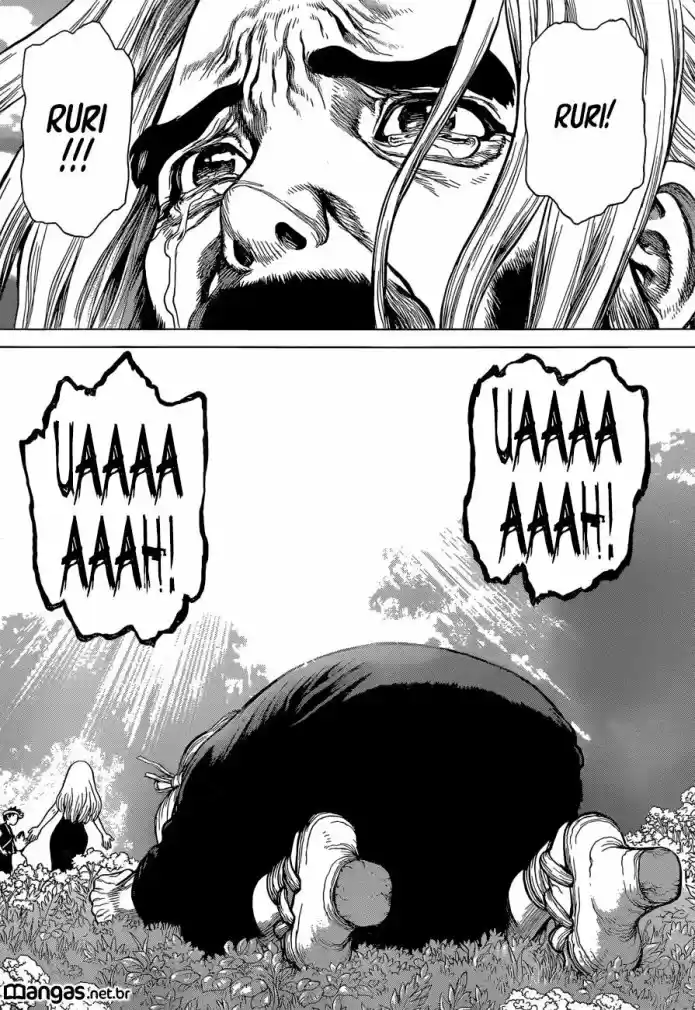 Read Dr. Stone (pt) Manga Online