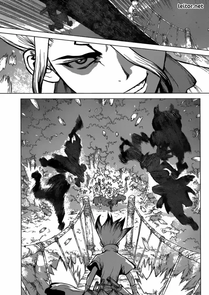 Read Dr. Stone (pt) Manga Online