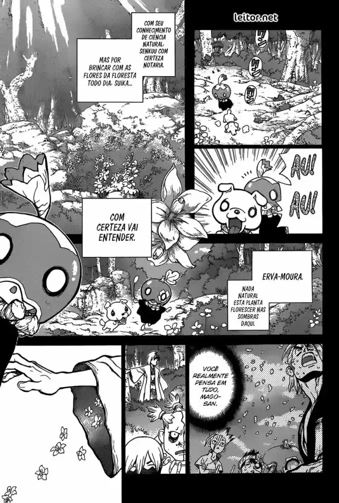 Read Dr. Stone (pt) Manga Online