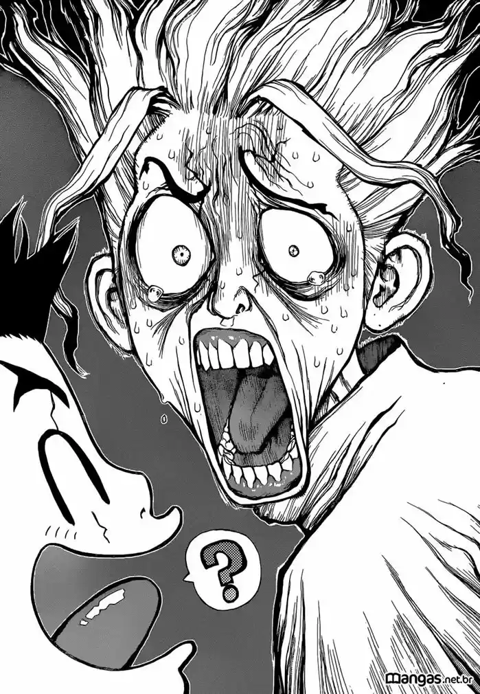 Read Dr. Stone (pt) Manga Online