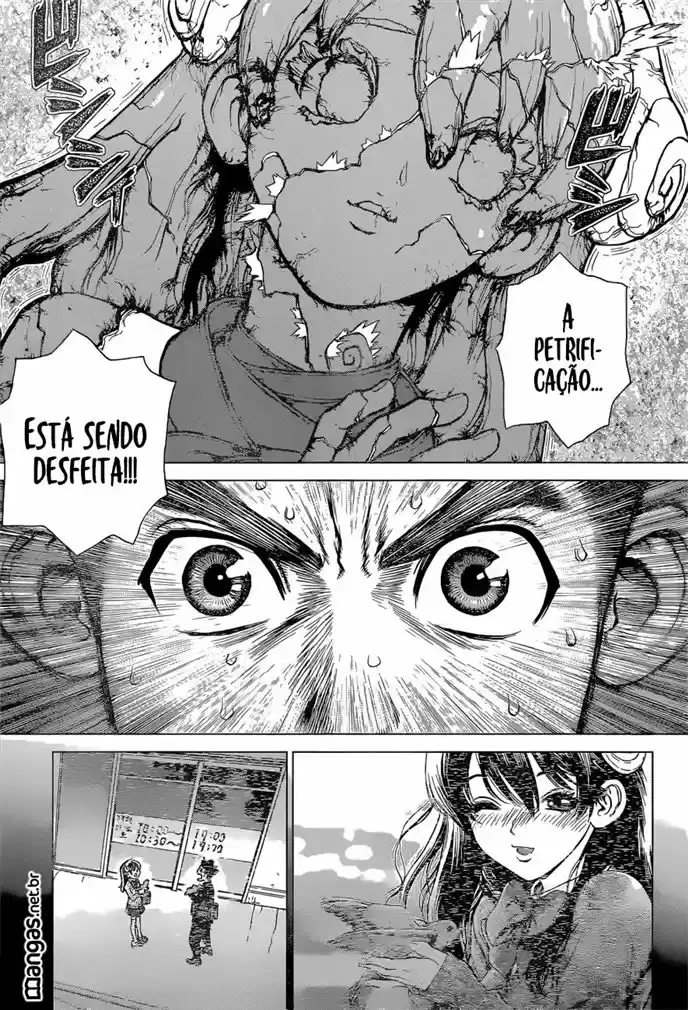 Read Dr. Stone (pt) Manga Online