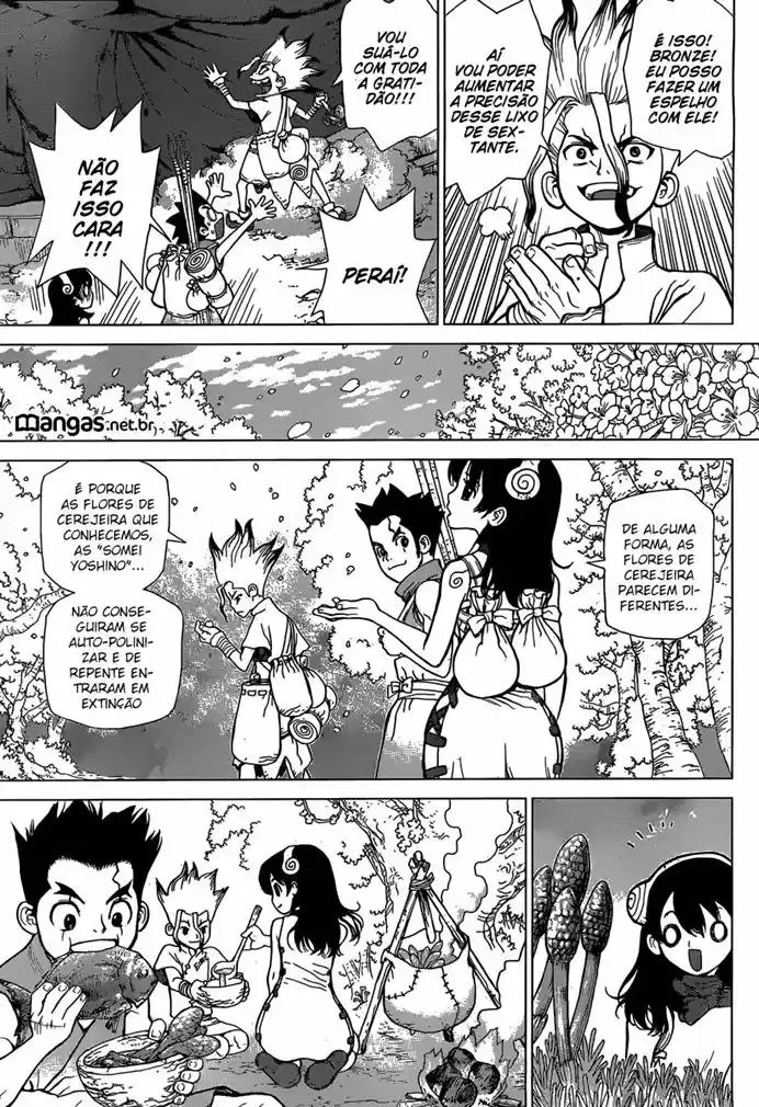 Read Dr. Stone (pt) Manga Online