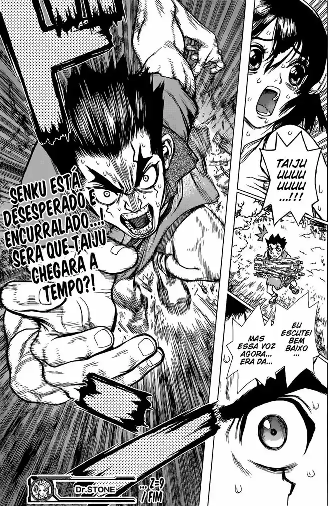 Read Dr. Stone (pt) Manga Online