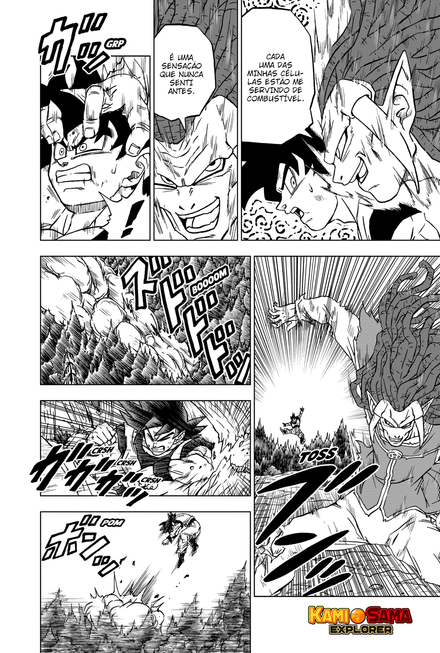 Read Dragon Ball Super (pt) Manga Online