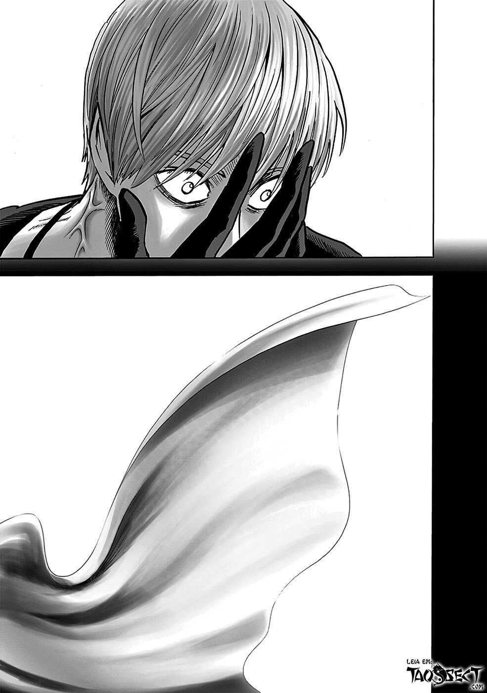 Read One Punch Man (pt) Manga Online
