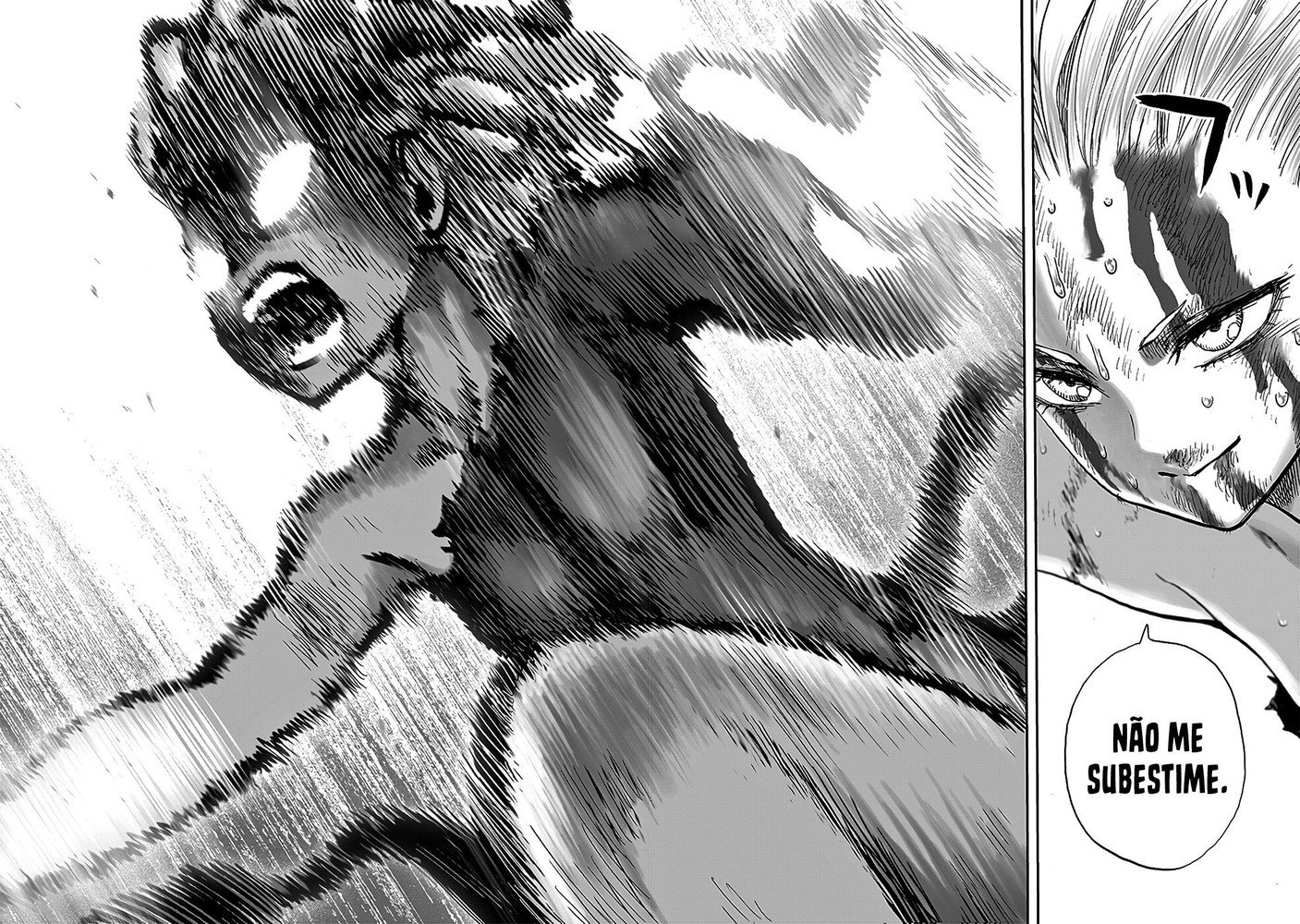 Read One Punch Man (pt) Manga Online