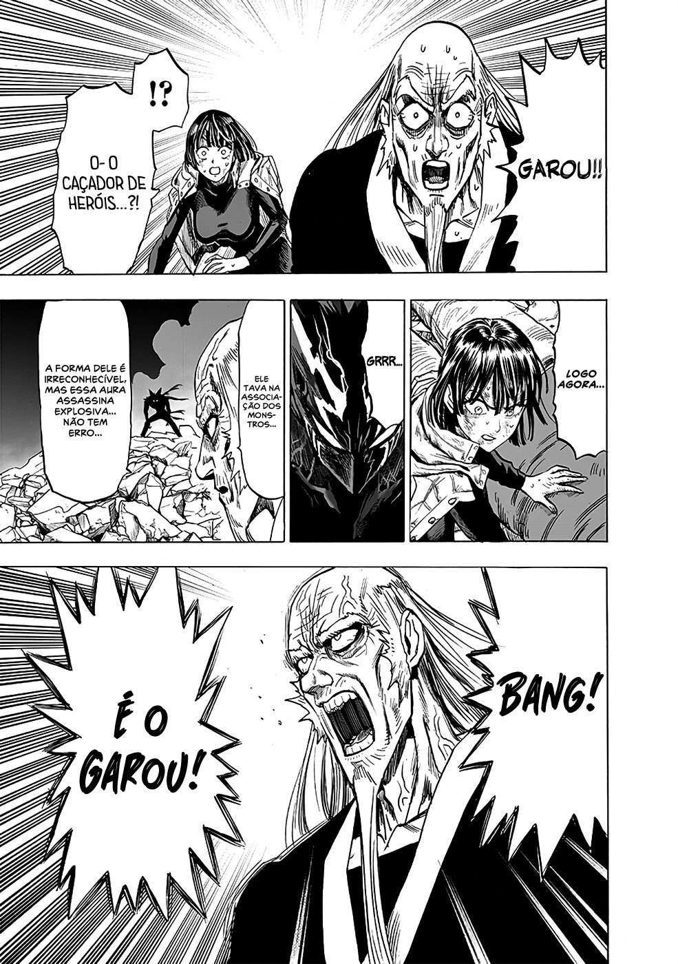 Read One Punch Man (pt) Manga Online