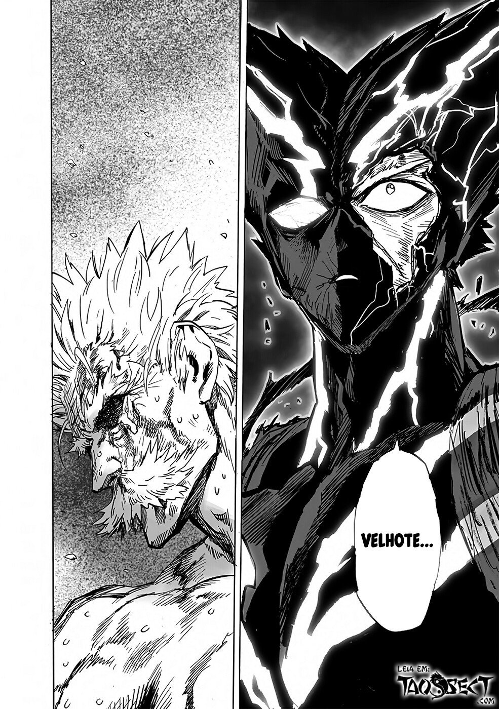 Read One Punch Man (pt) Manga Online