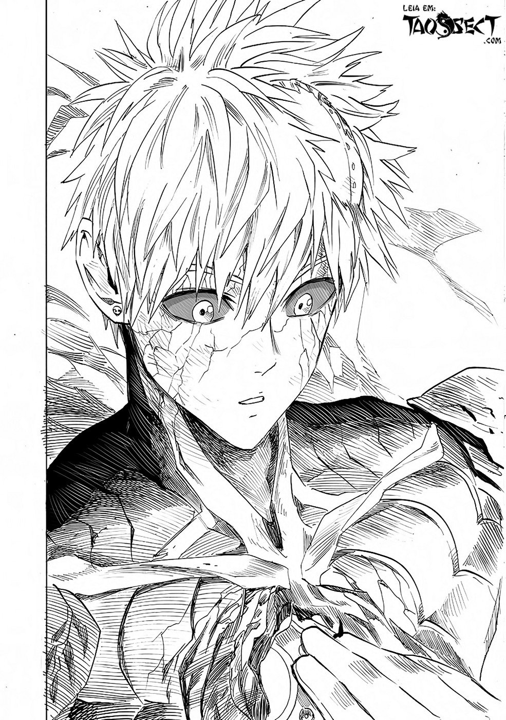 Read One Punch Man (pt) Manga Online