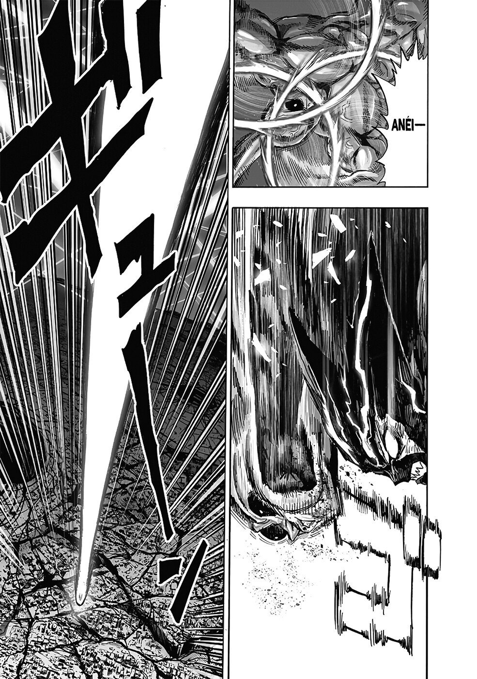 Read One Punch Man (pt) Manga Online