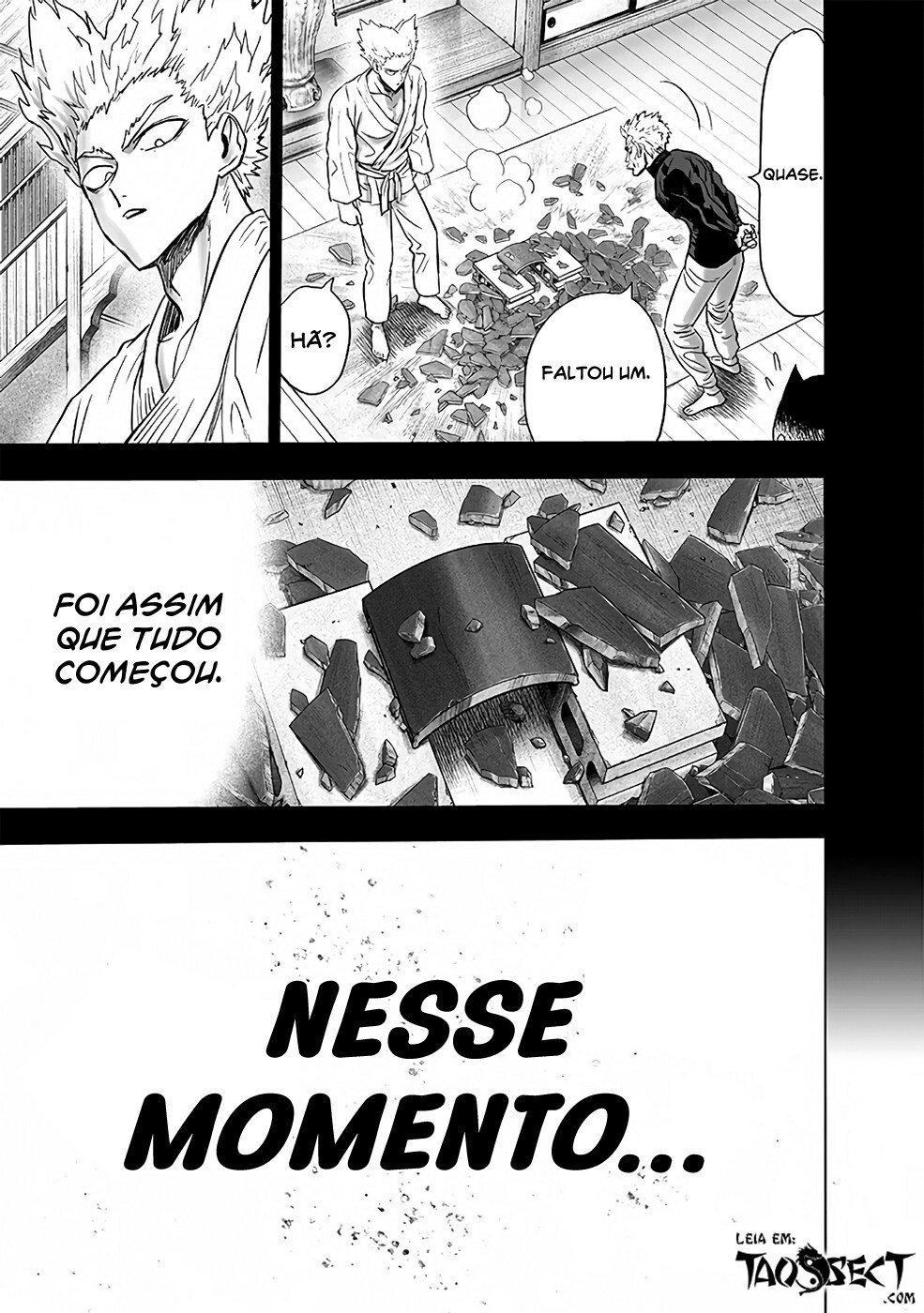 Read One Punch Man (pt) Manga Online