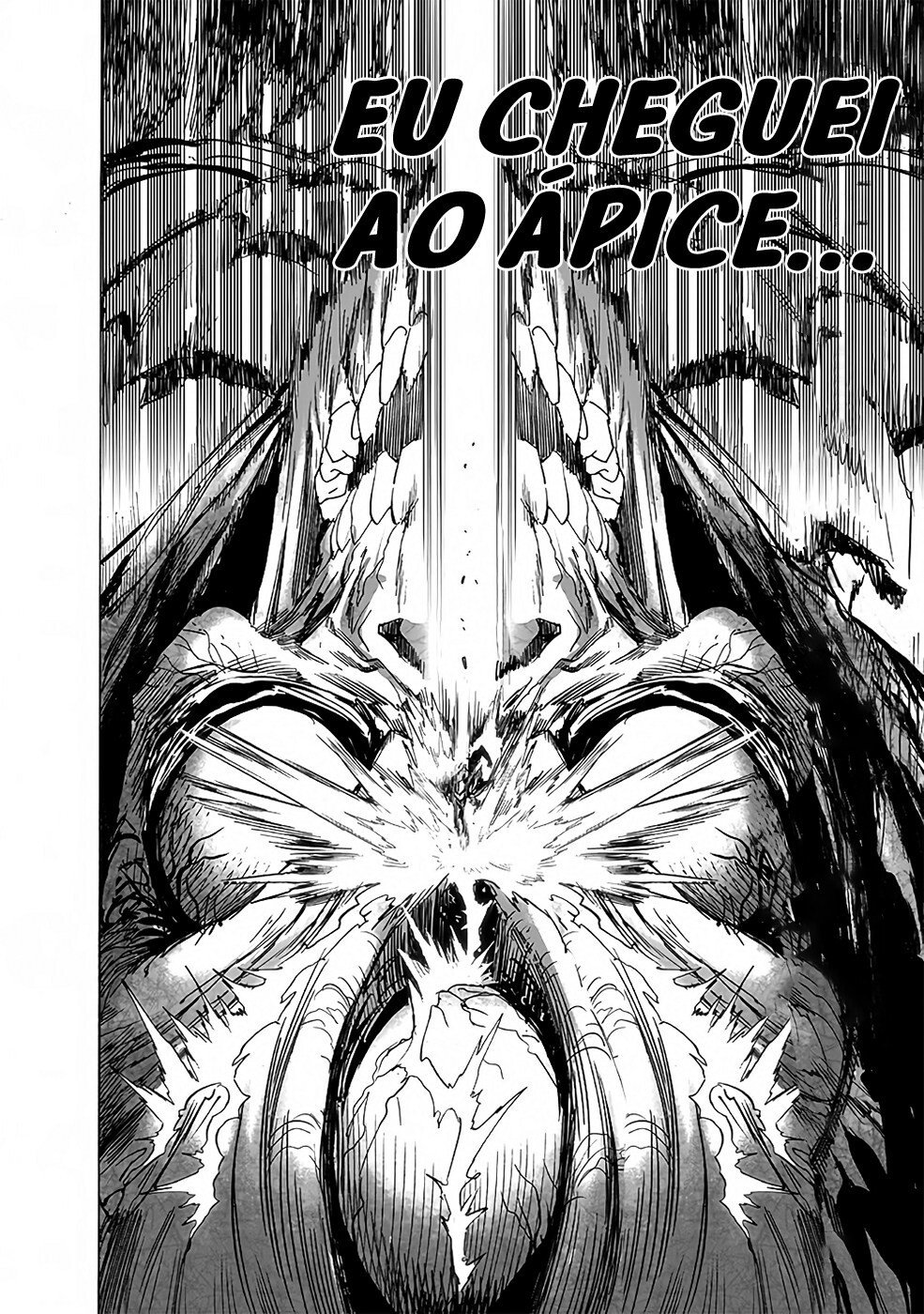 Read One Punch Man (pt) Manga Online