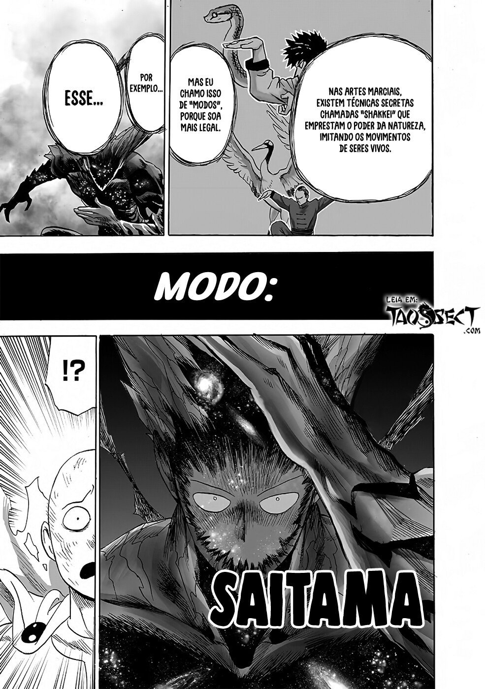 Read One Punch Man (pt) Manga Online