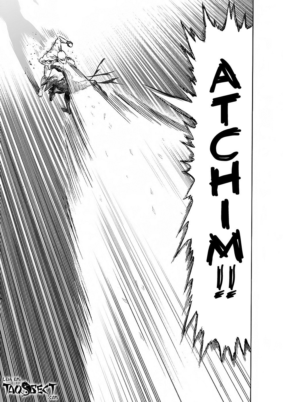 Read One Punch Man (pt) Manga Online