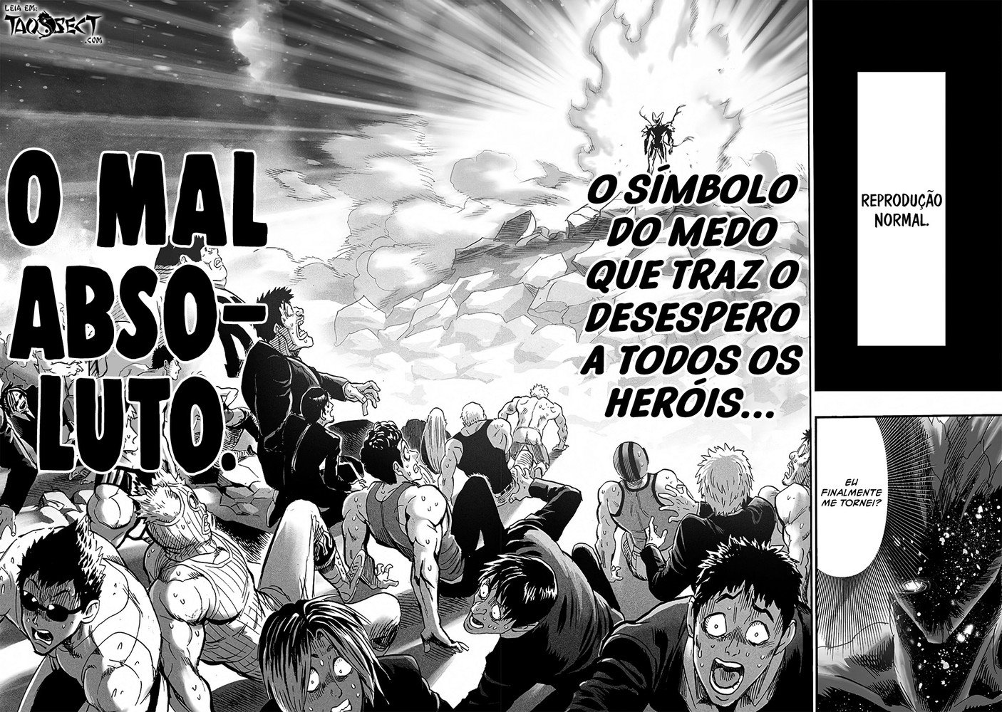 Read One Punch Man (pt) Manga Online